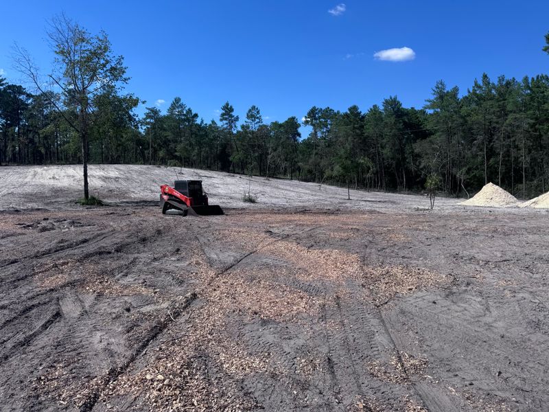 Forestry Mulching