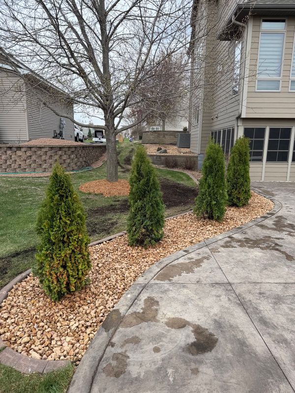 Shrub Trimming