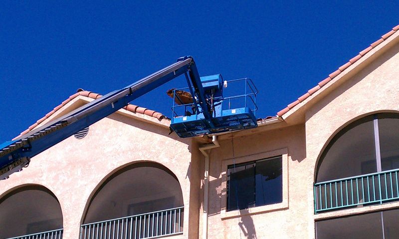 Bee Extermination & Removal