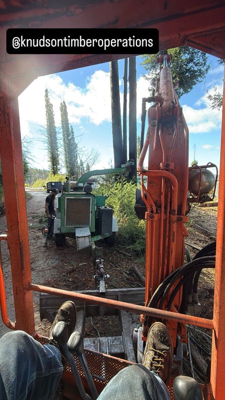 Tree Services
