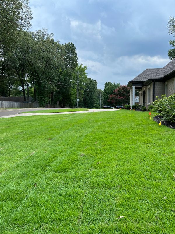 Lawncare gallery