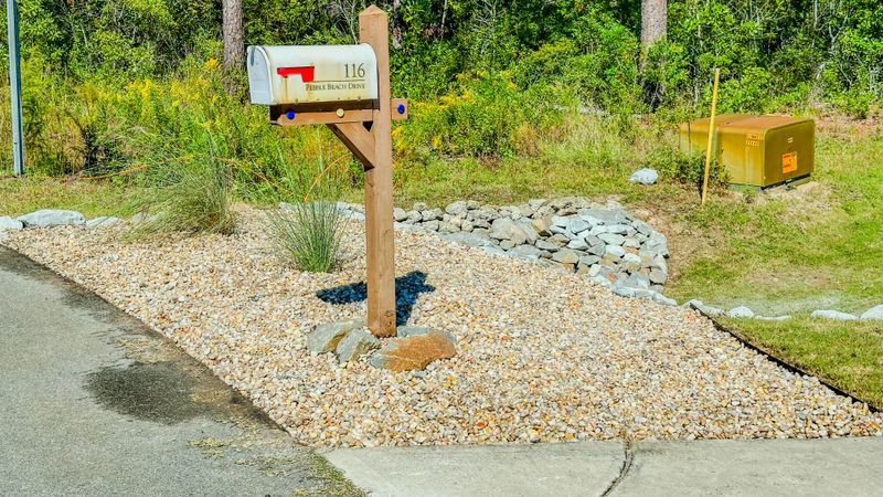 Landscape Renovation