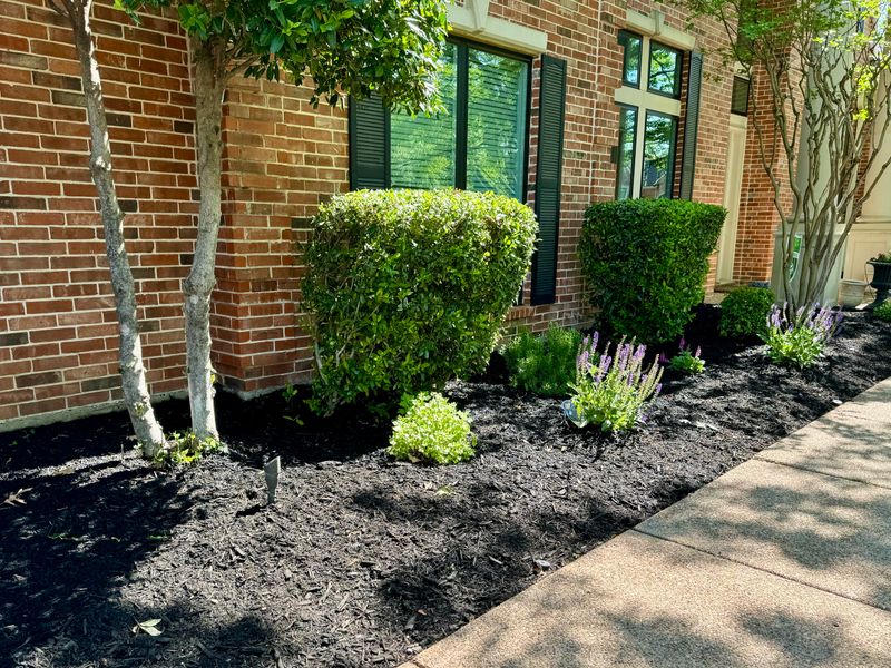 Landscape Design and Installation