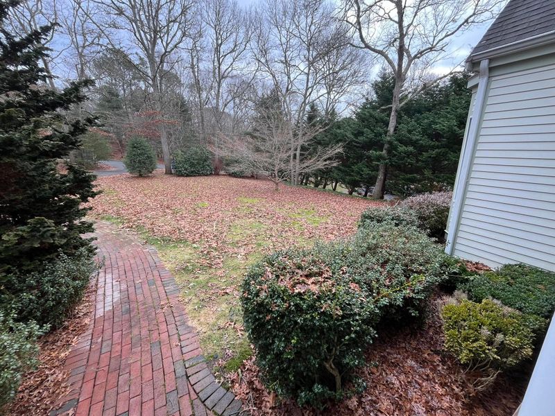 Fall CleanUp