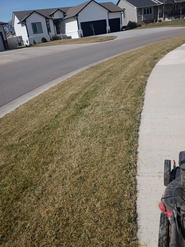 Lawn Maintenance