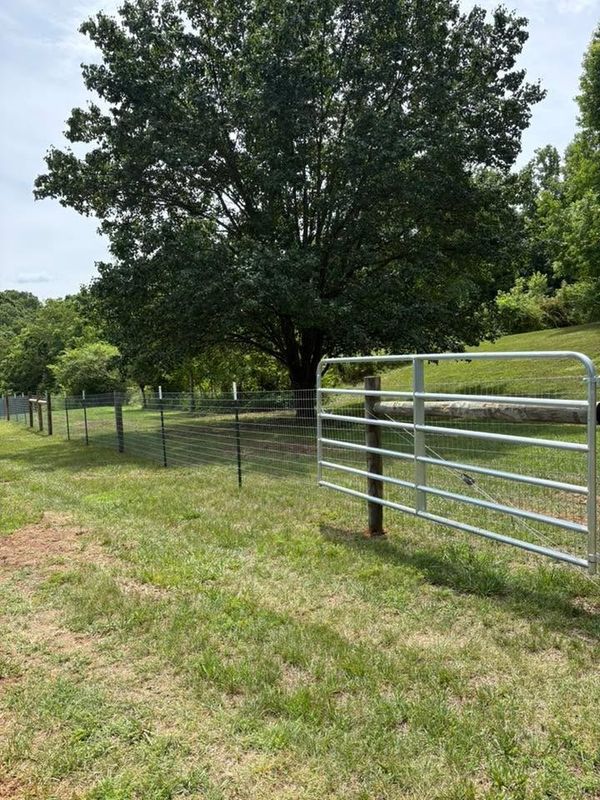 Agricultural Fence