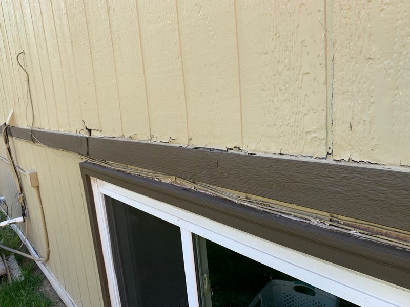 Siding/Trim Repair & Repaint