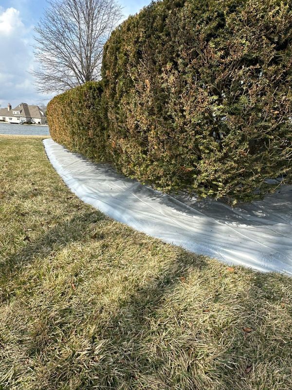 Landscape design