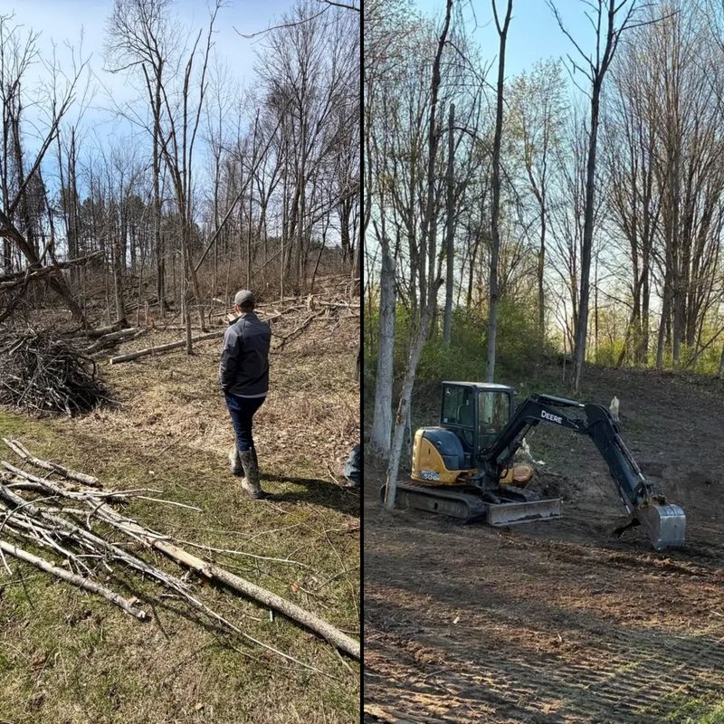 Forrest Rehabilitation
