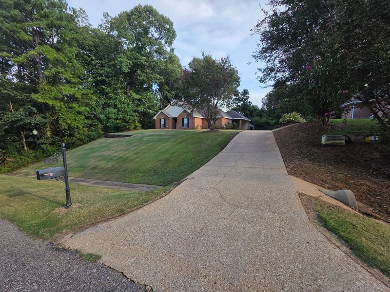 Lawn Maintenance