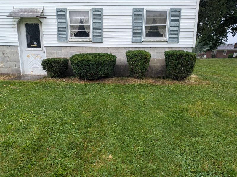 Tree & Shrub Care