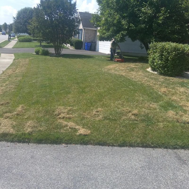 Lawn Care