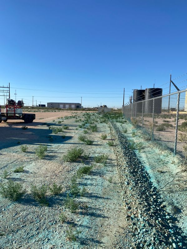 Weed Remediation