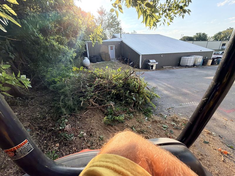 Land Clearing