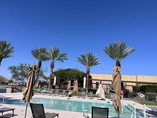 Palms Trimming