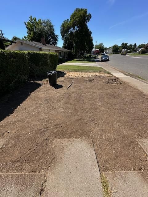 Lot Clearing