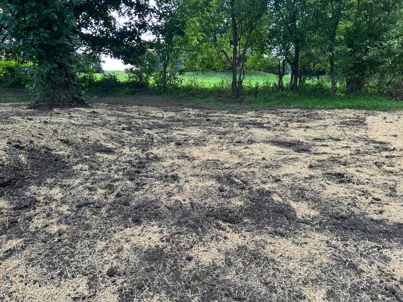 Land Clearing