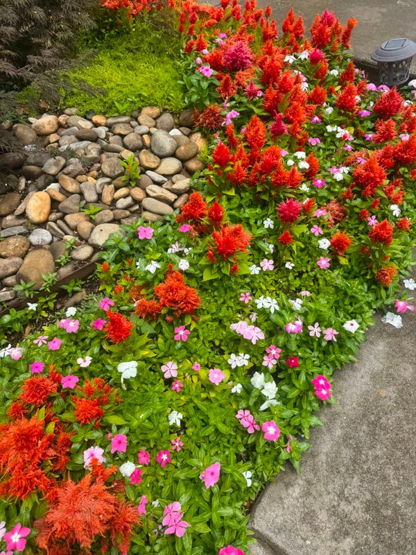 Landscape Design