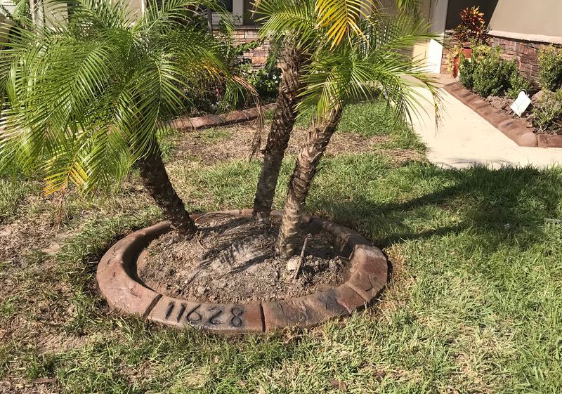 Custom Curbing gallery
