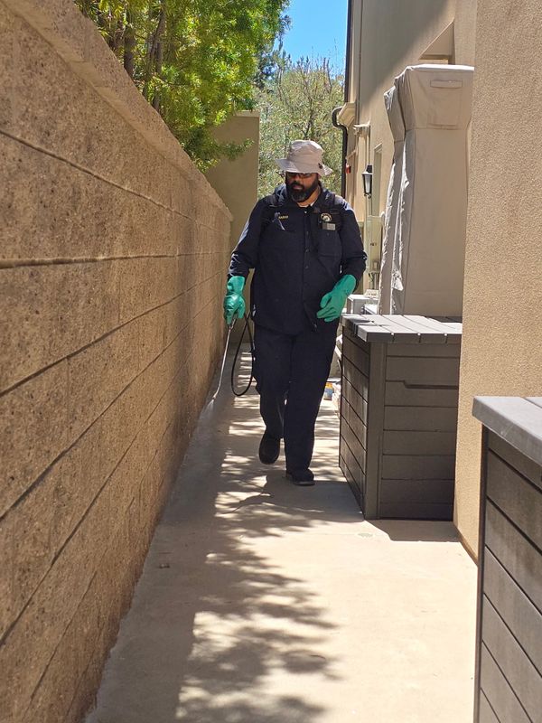 Residential Pest Control