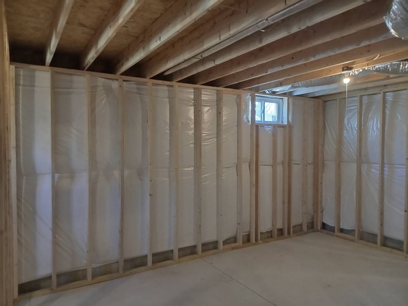 Basement Finishing