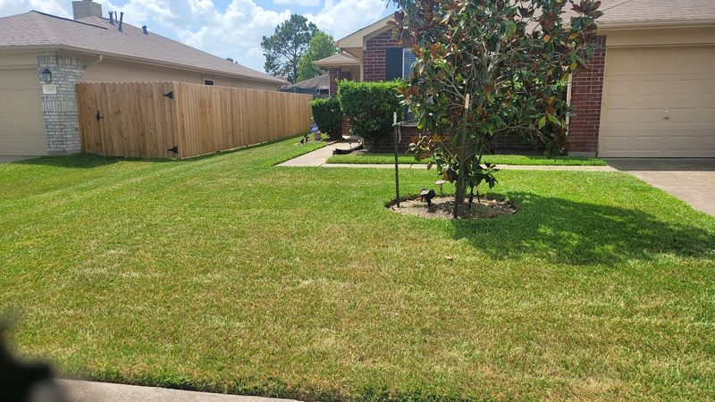 Mowing