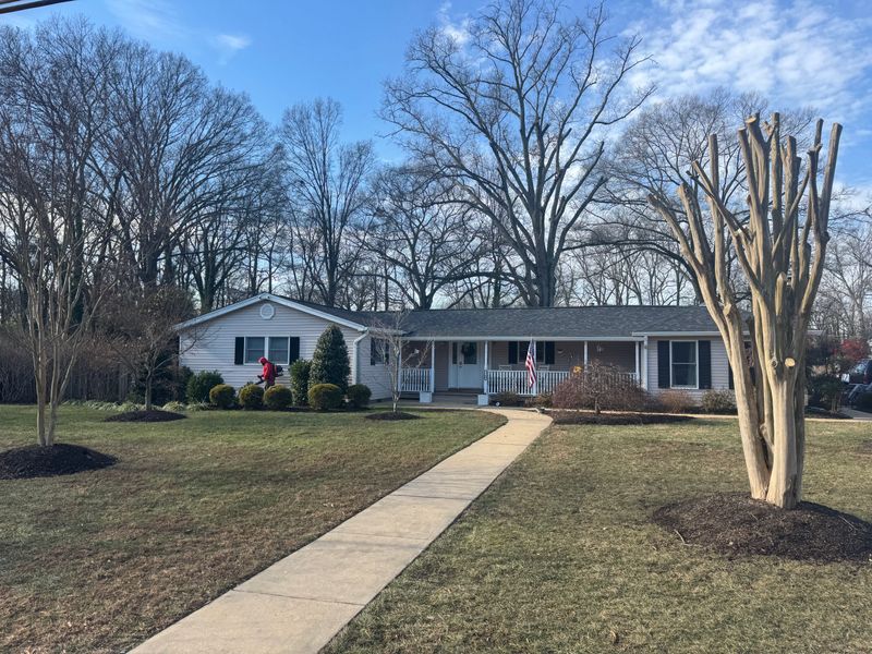 Tree Work & Arborist Services