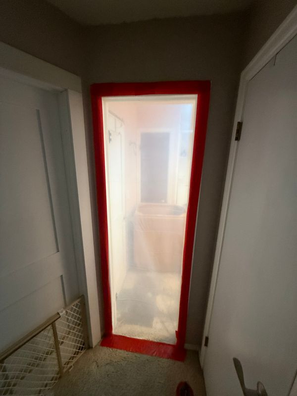 Mold Remediation
