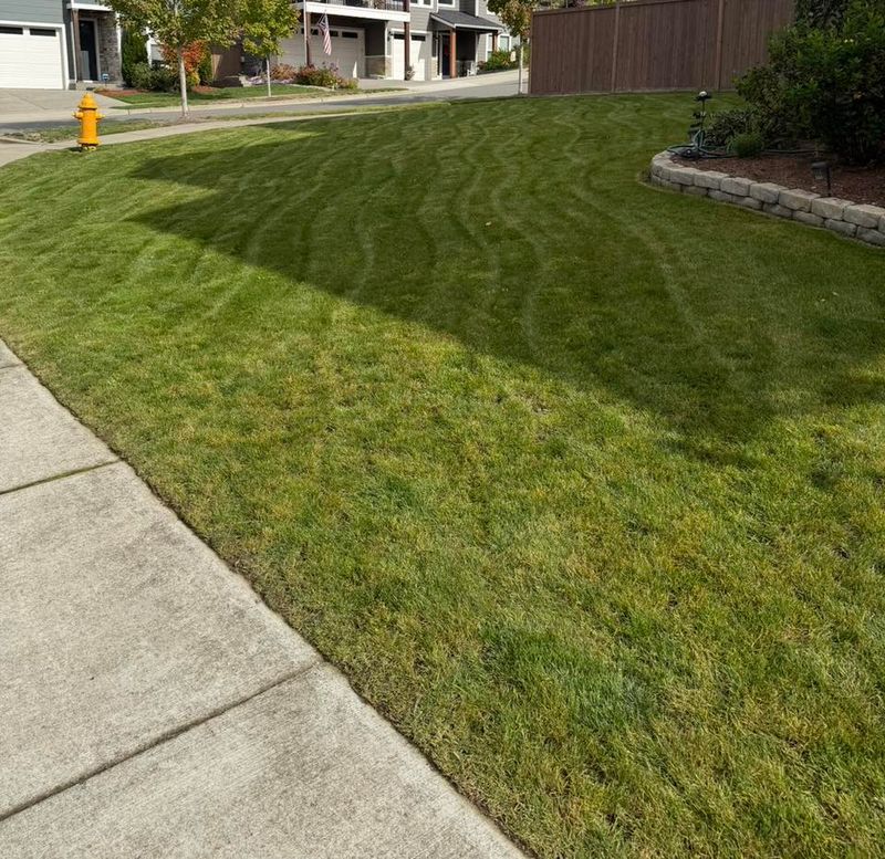 Lawn Maintenance