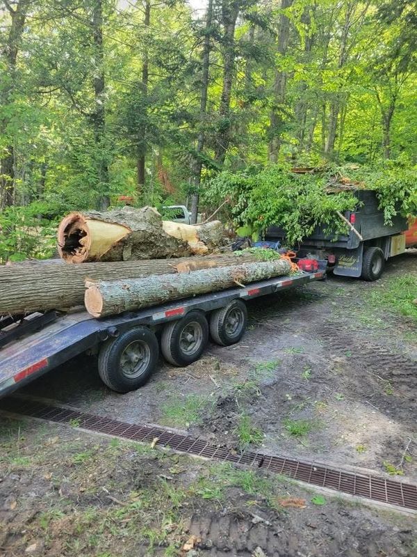 Tree Removal gallery