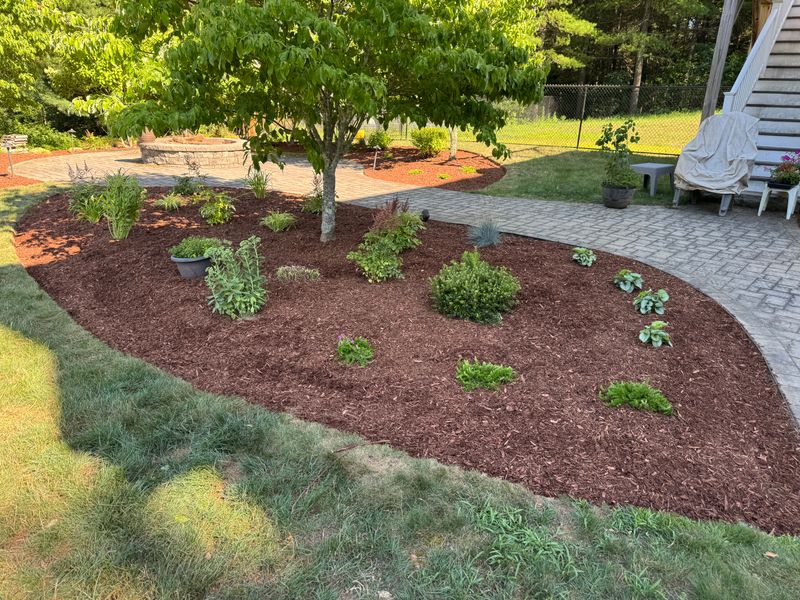 Garden Designs