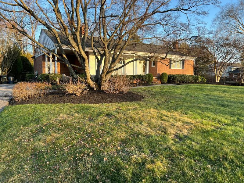 Lawn Maintenance
