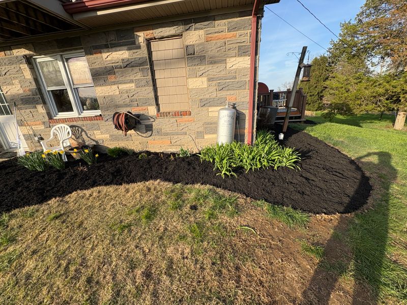 Landscaping