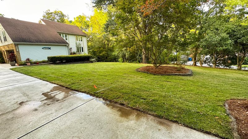 Lawn Care