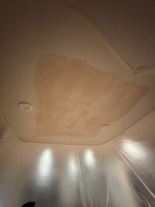 Ceiling Drywall Repair