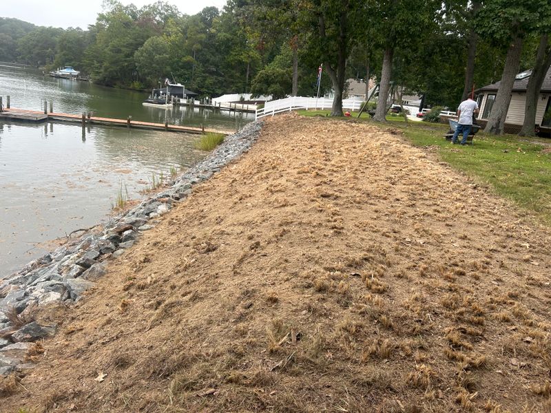 River Bank Clearing  gallery