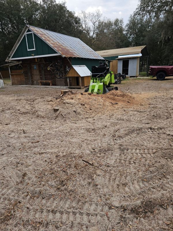 Stump Grinding