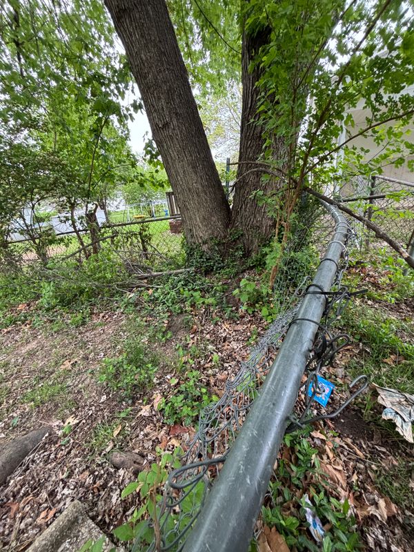 Gates & Fences