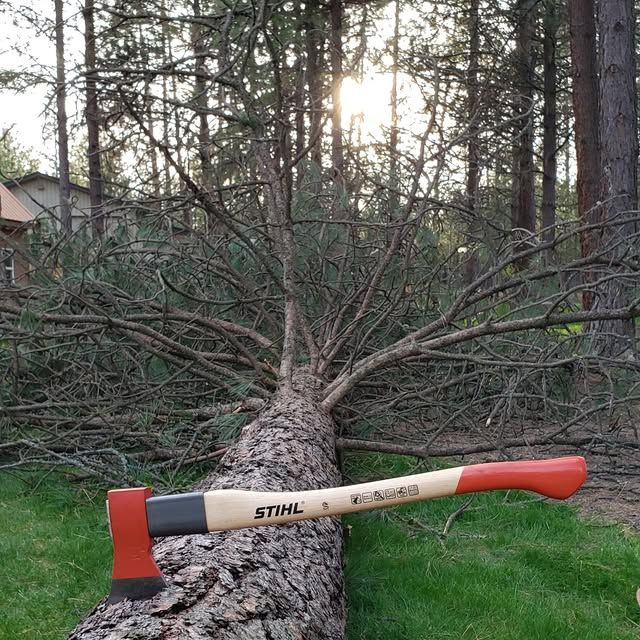 Tree Removal gallery