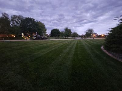 Lawn Maintenance