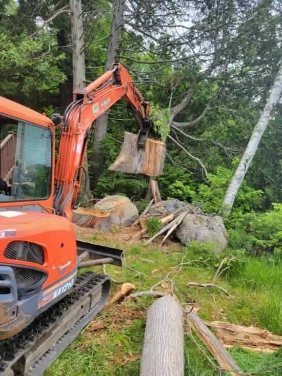 Tree Removal gallery