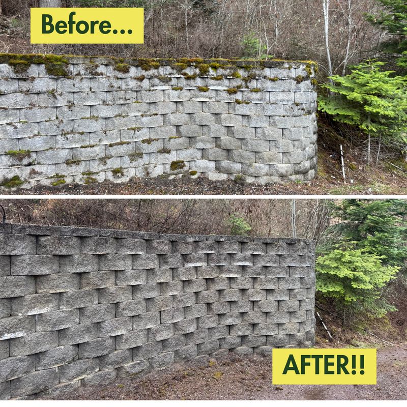 Before & After Photos