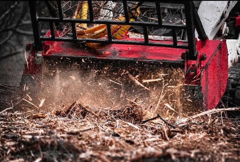 Landscaping Services