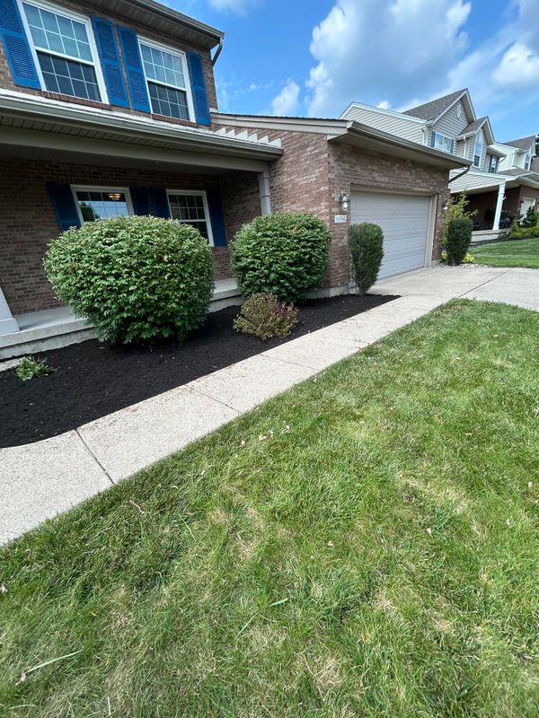 Stunning Mulch refreshes by Forward Motion Outdoor Services