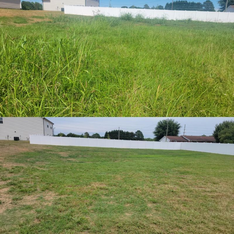 Before and After