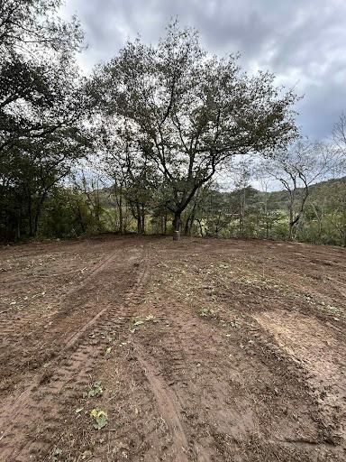 Land Clearing