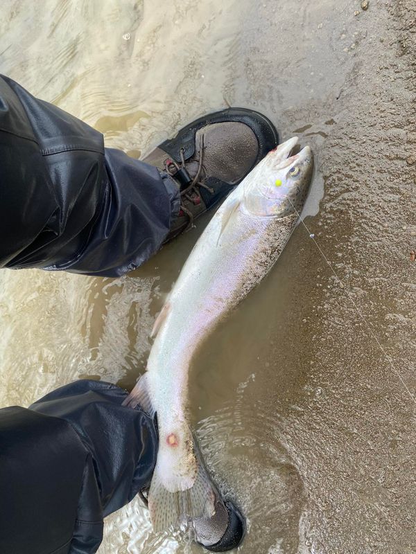 Fishing Charters