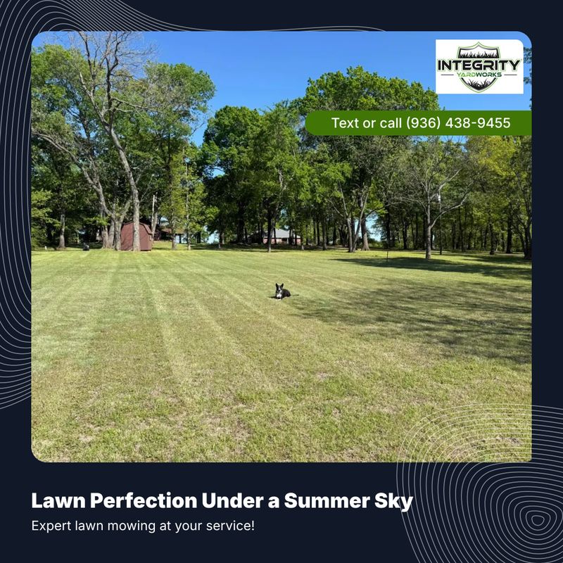 Lawn Mowing