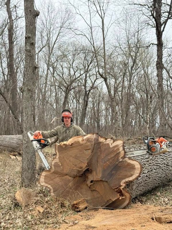 Tree Removal