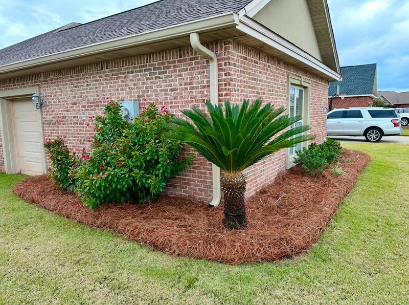 Landscape Design